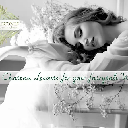 Chateau Leconte